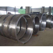 Large Diameter Forging Flange up to 10m